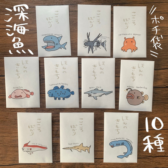 深海魚10種のポチ袋 1枚目の画像