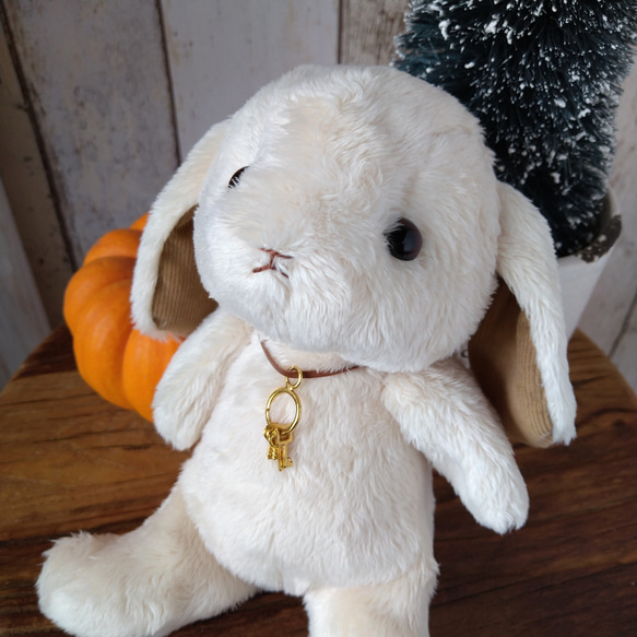 ぽってりうさぎロップイヤー ぬいぐるみ kukuma 通販 15059598