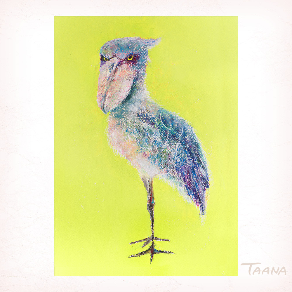 原画「ハシビロコウ」 絵画 TAANA 通販 15059648｜Creema(クリーマ)