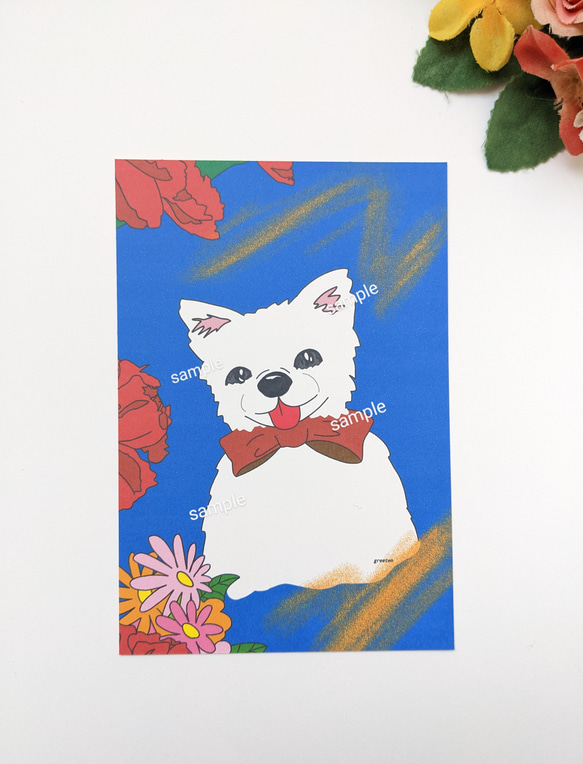 犬アート　花とチワワ　2枚ポストカードセット　白チワワ 2枚目の画像