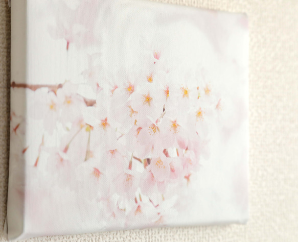 ネイチャーフォトキャンバスパネル / 桜花の頃 5枚目の画像