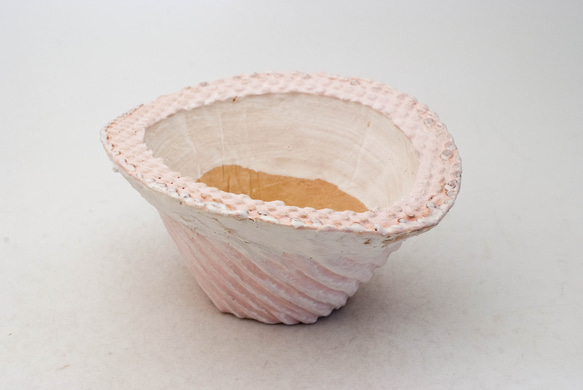 陶器製　#多肉植物 の欲しがる 植木鉢 CCcd(曲)-ピンク 5446 1枚目の画像