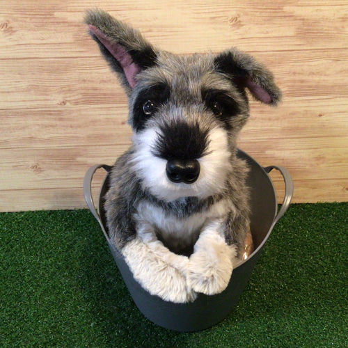 L様愛犬ちゃんオーダーメイド品(ミニチュアシュナウザー)縫いぐるみ