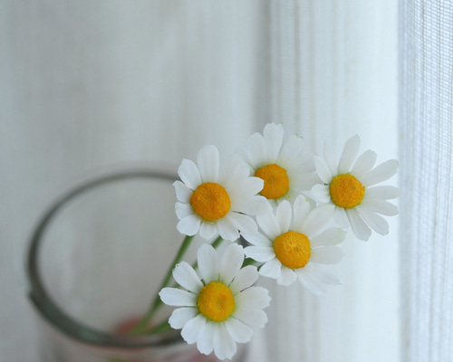 dcc4e6c74c3ef5a39df118cd7f3d44