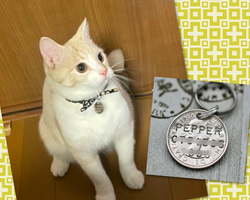 ★お急ぎ便2～3日で発送★迷子札★モニター価格★幸運の６ペンスコイン★2重カンタイプ★Picom★