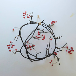 高砂ユリの種殻 ドライフラワー nyao-mery 通販 13124588｜Creema