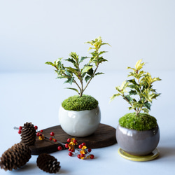 abc3cf46b4f70dbd25f6007ef97c07