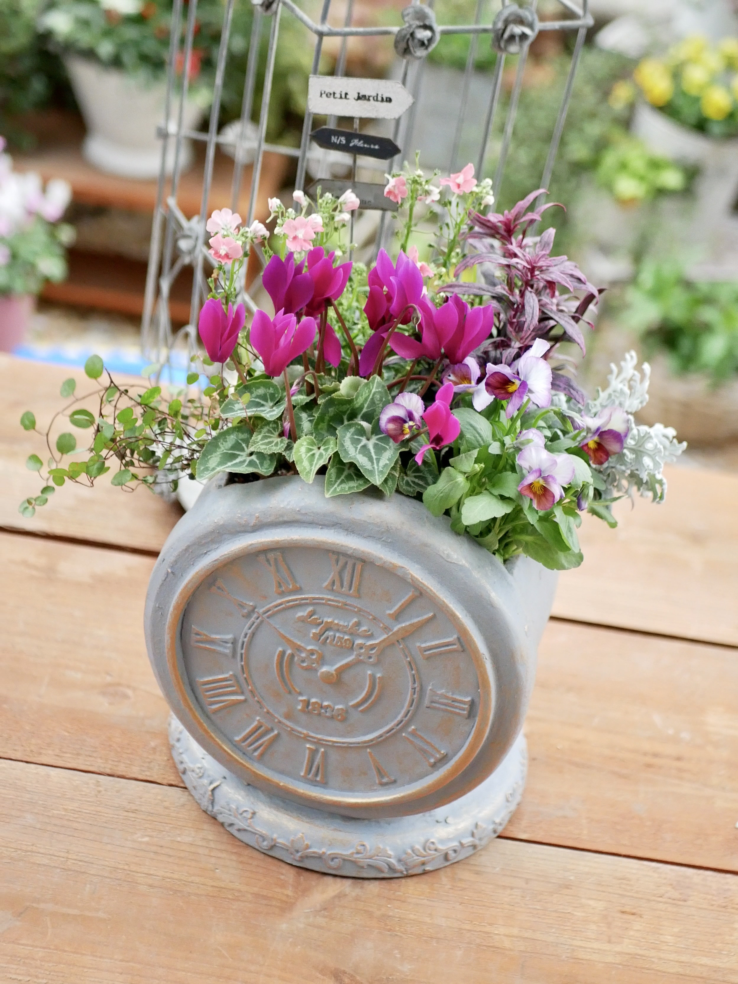 季節のお花寄せ植え  グラスファイバー 玄関をオシャレに 心に寄り添う 寄せ植え グラスファイバーの