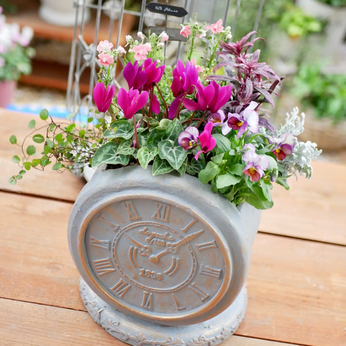 心に寄り添う 寄せ植え アンティーク調クロック グラスファイバー 鉢