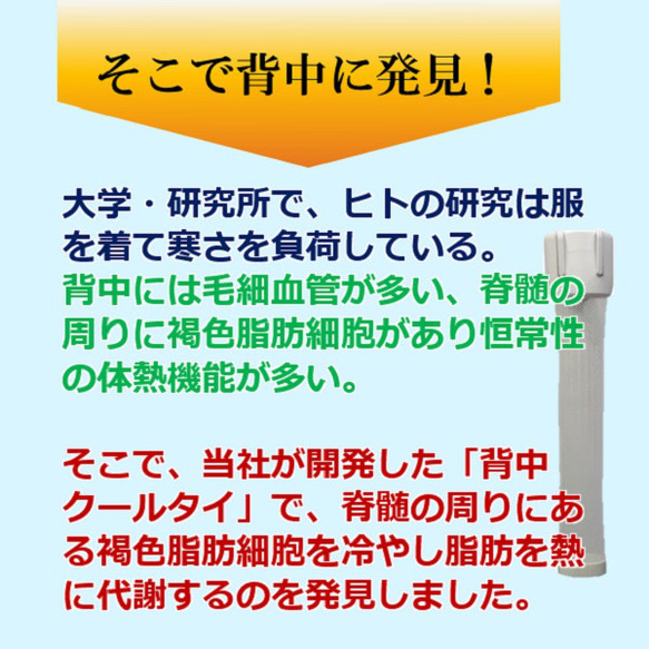 毎日ゼロ円 すぐに効果の出るダイエット器具 背中クールタイ で痩せた  褐色脂肪細胞を活性化 代謝 脂肪燃焼 8枚目の画像