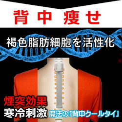 瘦せるサプリ お茶 やり ながらダイエット お腹 引き締め 脂肪燃焼 即効果 背中痩せ ダイエット器具 背中クールタイ 1枚目の画像