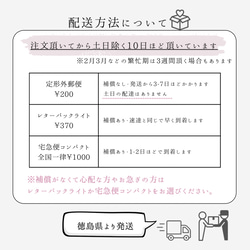 白いお花とパールのピアス イヤリング 金属アレルギー対応 結婚式 披露宴 ウエディング ブライダル 花嫁 18枚目の画像