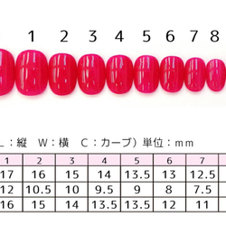 ネイルチップ　チェックネイル 3枚目の画像