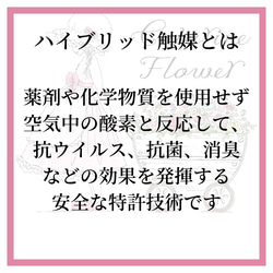 クリスマス2023、ナチュラルテイストでも華やかなXmas リース　クリスマスローズ　コットンナチュラル　パーティ　 14枚目の画像