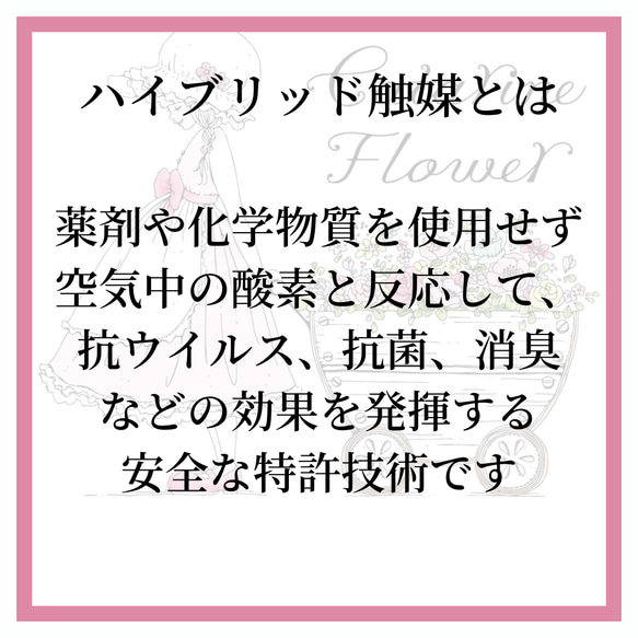 クリスマス2023、ナチュラルテイストでも華やかなXmas リース　クリスマスローズ　コットンナチュラル　パーティ　 14枚目の画像