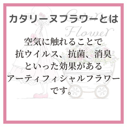 クリスマス2023、ナチュラルテイストでも華やかなXmas リース　クリスマスローズ　コットンナチュラル　パーティ　 10枚目の画像