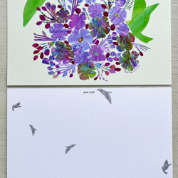 花と鳥のポストカードセット 6枚目の画像