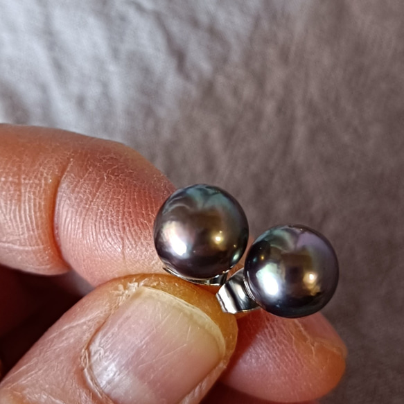 あこや真珠　黒真珠 タヒチブルー 大玉 およそ 9㎜ サージカルステンレスピアス 3枚目の画像