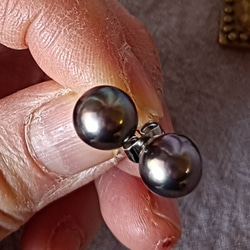 あこや真珠　黒真珠 タヒチブルー 大玉 およそ 9㎜ サージカルステンレスピアス 4枚目の画像