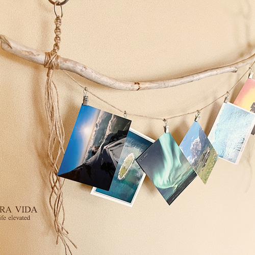 オホーツク流木のフォトハンガー シルバー クリップ6連 フォトフレーム