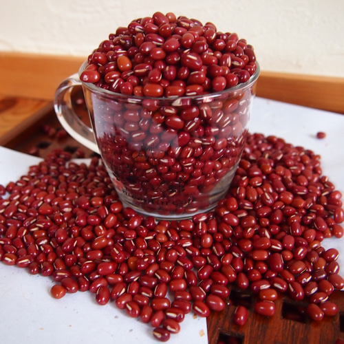 猫）Lサイズ 小豆のアイピロー ＊ その他インテリア雑貨 kekko 通販