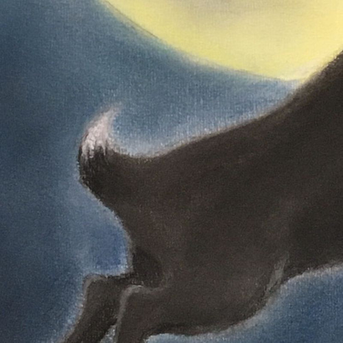 黒兎（パステル画 原画） 4号 絵画 にゃんずら 通販 15065479
