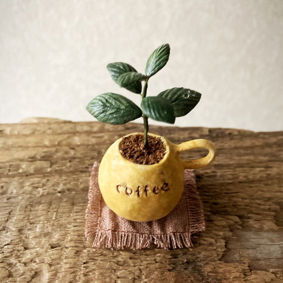 7732.bud 粘土の鉢植え コーヒーの木 3枚目の画像
