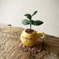 7732.bud 粘土の鉢植え コーヒーの木 2枚目の画像