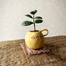 7732.bud 粘土の鉢植え コーヒーの木 4枚目の画像