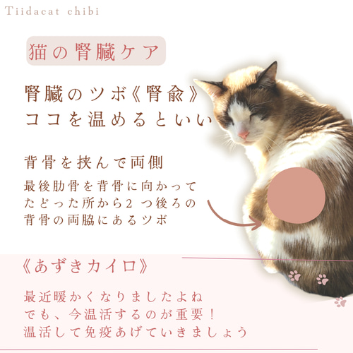 猫用あずきカイロ(小さいサイズ) 洗えるカバー付き ①線画ねこ
