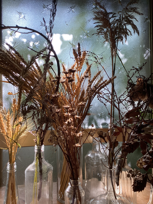 ドライフラワー 葦（ヨシ） ドライフラワー atelier＆vintage Phot