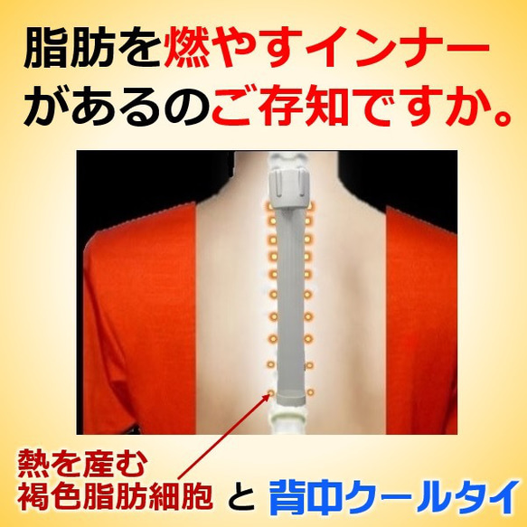 ダイエット器具 お腹周り 引き締め 脂肪燃焼 スッキリ 魔法「背中クールタイ」 着けると体の仕組で中性脂肪を燃やし始める 6枚目の画像