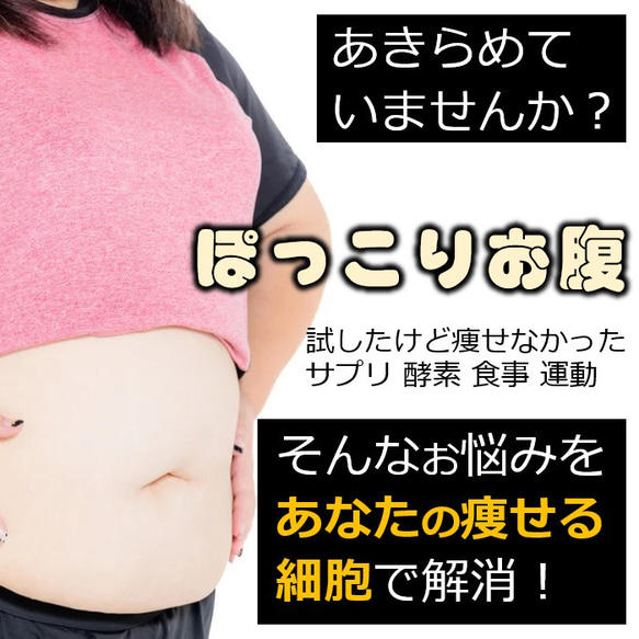 ダイエット器具 お腹周り 引き締め 脂肪燃焼 スッキリ 魔法「背中クールタイ」 着けると体の仕組で中性脂肪を燃やし始める 2枚目の画像