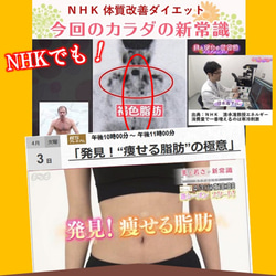 ダイエット器具 お腹周り 引き締め 脂肪燃焼 スッキリ 魔法「背中クールタイ」 着けると体の仕組で中性脂肪を燃やし始める 9枚目の画像