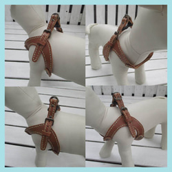 本革　手縫いワンちゃんハーネス　キャメル　小型犬用　HN-1/DCA 10枚目の画像
