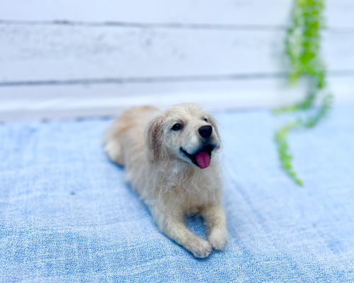 森のページ❣️羊毛フェルトオーダー犬ゴールデンレトリバー 羊毛フェルト オーダー 「リアルで可愛いワンちゃん」ゴールデン