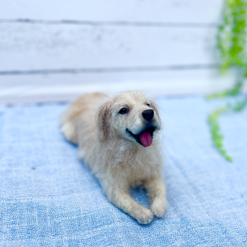 羊毛フェルト ♡ゴールデンレトリバー♡（羊毛フェルト 犬