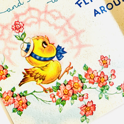 復古賀卡一套 3 隻小鳥（鴨子、小雞）|美國 第10張的照片
