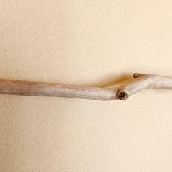オホーツク流木　自然美ハンガーラック　綿ロープ　アウトドアテイスト　S字 4枚目の画像