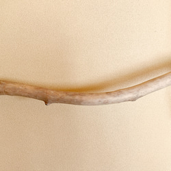 オホーツク流木　自然美ハンガーラック　綿ロープ　アウトドアテイスト　S字 5枚目の画像