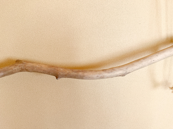オホーツク流木　自然美ハンガーラック　綿ロープ　アウトドアテイスト　S字 5枚目の画像