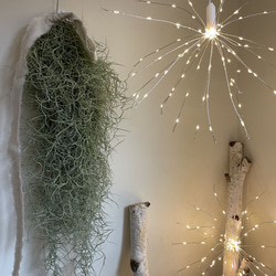 Happy new year 2024 ヒカゲノカズラと紅白のしめ縄飾り Happy new