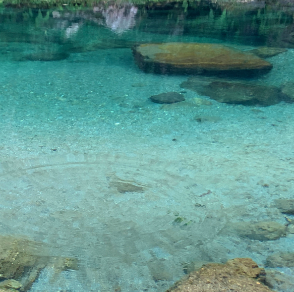 気持ち伝える土佐和紙。素朴でかわいい土佐楮カード ークマ 6枚目の画像