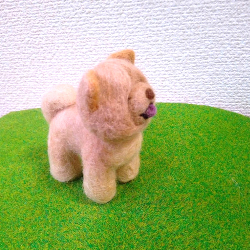 羊毛フェルトチャウチャウ 羊毛フェルト Lana** 通販 15069753
