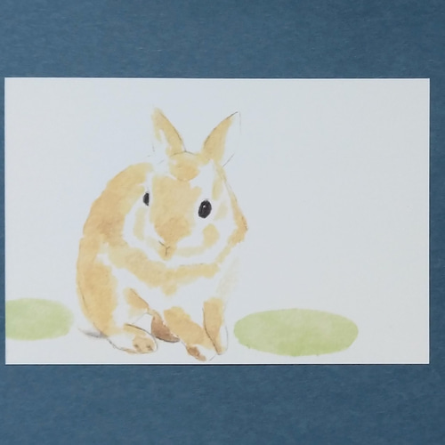 春を待つうさぎ』 水彩色鉛筆画