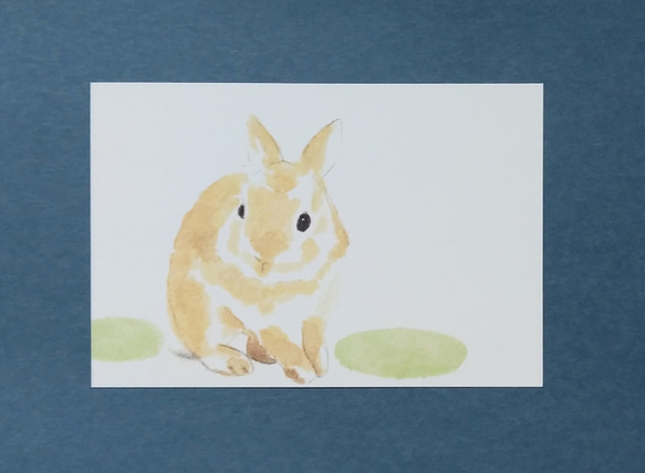 アクリル画 ウサギ  動物 3c010c6d7e50db267860a45b2a1d0a