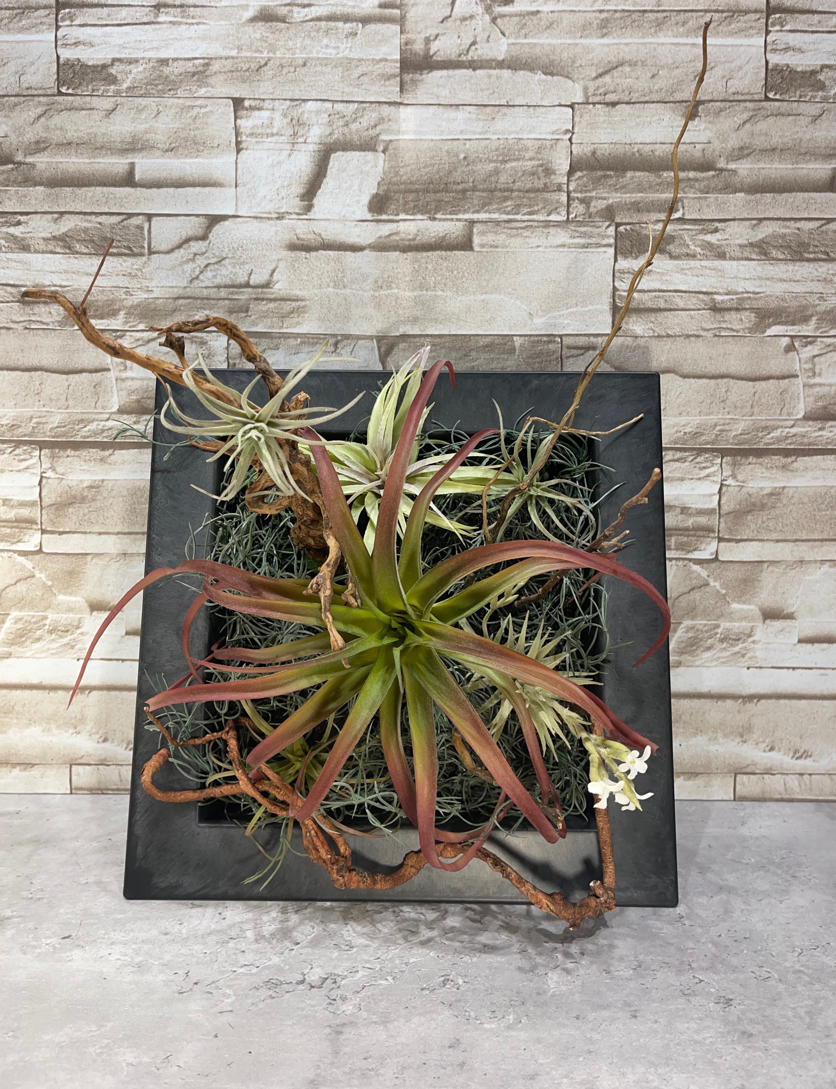 フェイクグリーン　プレートアレンジ　ウォールグリーン【チランジア＆流木アレンジL】