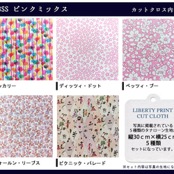 リバティ【カットクロス】「23ssピンクミックス」 5種セット　生地　はぎれ　綿　LIBERTY 3枚目の画像