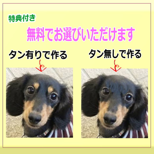 犬の日 2023 愛犬ギフト・ダックス四つ立ち型(ブラウン色系)リアル