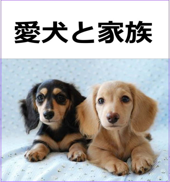 犬の日 2023 愛犬ギフト・ダックス四つ立ち型(ブラウン色系)リアルファーのぬいぐるみ　犬の日2023 8枚目の画像